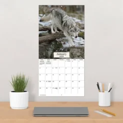 Trends International 2026 Wolves 12"x12" Wall Calendar -Everyday Fan & Home GUEST 05e9cbc5 be39 4842 8466 95a448af2602