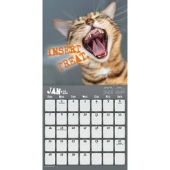 Trends International Inc. 2023-24 Wall Calendar 12"x12" Snarcatstic