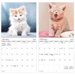 Trends International 2026 Cuddly Kittens 12"x12" Wall Calendar -Everyday Fan & Home GUEST 1061d804 04b8 4a31 99da 0852f28203a0