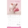 Trends International Inc. 2023-24 Wall Calendar 12"x12" Perfectly Pink -Everyday Fan & Home GUEST 1393801b deab 41a3 82b5 0228b374536e