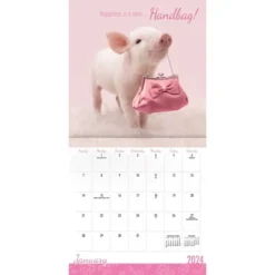 Trends International Inc. 2023-24 Wall Calendar 12"x12" Perfectly Pink