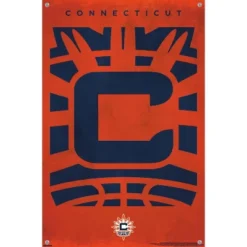 Trends International WNBA Connecticut Sun - Logo 25 Unframed Wall Poster Prints -Everyday Fan & Home GUEST 14374f8b af7c 408f b845 a023a31c261c