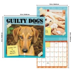 Trends International 2026 Guilty Dog 12"x12" Wall Calendar -Everyday Fan & Home GUEST 15ac3a3a 3ac2 401d a0b0 86b42fe969e5