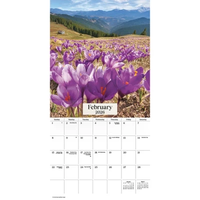 Trends International 2026 Nature's Bouquet 12"x12" Wall Calendar 4 Trends International 2026 Nature's Bouquet 12"x12" Wall Calendar - Image 2
