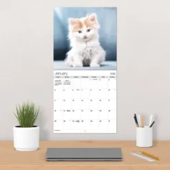 Trends International 2026 Cuddly Kittens 12"x12" Wall Calendar -Everyday Fan & Home GUEST 1db9a2c2 91d3 4540 b579 4b3a58f2fcdd