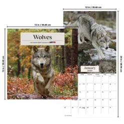 Trends International 2026 Wolves 12"x12" Wall Calendar -Everyday Fan & Home GUEST 22e668d9 6e4c 4bfa 95d8 c00449bcc232