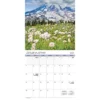 Trends International Inc. 2023-24 Wall Calendar 12"x12" Nature's Bouquet Bilingual English/French -Everyday Fan & Home GUEST 25c92e17 d490 43f6 8c23 8b8c2a2303de