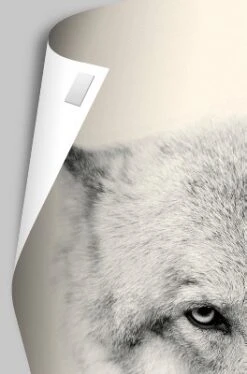 Trends International NBA Milwaukee Bucks - Logo 16 Unframed Wall Poster Prints 9 Trends International NBA Milwaukee Bucks - Logo 16 Unframed Wall Poster Prints -Everyday Fan & Home GUEST 2d7b732b ddf8 4db4 a814 346f47f2903d 3