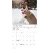 Trends International 2026 Puppies Bilingual French 12"x12" Wall Calendar