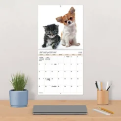 Trends International 2026 Buddies Bilingual French 12"x12" Wall Calendar -Everyday Fan & Home GUEST 44e02b1f 1043 4059 8724 48a25f0c71f6