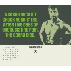 Trends International Inc. 2024 Daily Desk Calendar 4.25"x5" Chuck Norris -Everyday Fan & Home GUEST 468e4949 bec9 4f4b ac2b 38c44e728c19