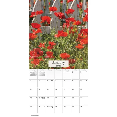 Trends International 2026 Texas Wildflowers 12"x12" Wall Calendar 3 Trends International 2026 Texas Wildflowers 12"x12" Wall Calendar