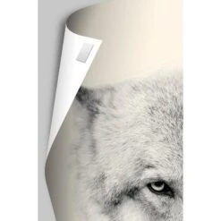 Trends International NBA Minnesota Timberwolves - Drip Basketball 21 Unframed Wall Poster Prints 9 Trends International NBA Minnesota Timberwolves - Drip Basketball 21 Unframed Wall Poster Prints -Everyday Fan & Home GUEST 56d31d4e 82a0 4384 abb9 92c9c4c39526 50