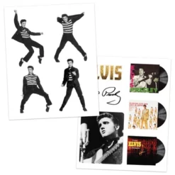 Trends International 2026 Elvis Presley Collector's 12.63"x12.63" Edition Calendar -Everyday Fan & Home GUEST 5823dd70 c6a3 4c42 b8a0 e25b04c7a90c