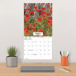 Trends International 2026 Texas Wildflowers 12"x12" Wall Calendar 11 Trends International 2026 Texas Wildflowers 12"x12" Wall Calendar -Everyday Fan & Home GUEST 5b24ef2d 28ca 4bcb 9fd8 757a2abb5cc3