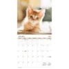 Trends International Inc. 2023-24 Wall Calendar 12"x12" Cuddly Kittens 1 Trends International Inc. 2023-24 Wall Calendar 12"x12" Cuddly Kittens -Everyday Fan & Home GUEST 5c13ea0d dca9 4568 8730 736e2488fd48