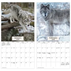Trends International 2026 Wolves 12"x12" Wall Calendar -Everyday Fan & Home GUEST 67ab9eb4 b25d 466c 8c16 19939f0a3b57