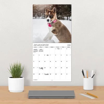 Trends International 2026 Puppies Bilingual French 12"x12" Wall Calendar 6 Trends International 2026 Puppies Bilingual French 12"x12" Wall Calendar - Image 4