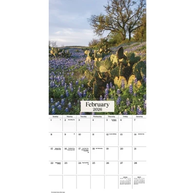 Trends International 2026 Texas Wildflowers 12"x12" Wall Calendar 4 Trends International 2026 Texas Wildflowers 12"x12" Wall Calendar - Image 2