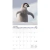 Trends International Inc. 2023-24 Wall Calendar 12"x12" Animal Babies 1 Trends International Inc. 2023-24 Wall Calendar 12"x12" Animal Babies -Everyday Fan & Home GUEST 70caf232 3594 4662 9a26 77a4db2ea54a