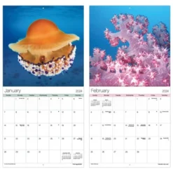 Trends International Inc. 2023-24 Wall Calendar 12"x12" Ocean Life -Everyday Fan & Home GUEST 71c2b0db 919e 42fd 955d 65304aa1b05d