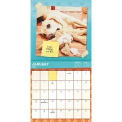 Trends International 2026 Guilty Dog 12"x12" Wall Calendar