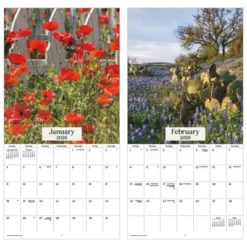 Trends International 2026 Texas Wildflowers 12"x12" Wall Calendar 12 Trends International 2026 Texas Wildflowers 12"x12" Wall Calendar -Everyday Fan & Home GUEST 73ee047d 4b5b 4fbb a7b8 ae672d1a6ebd