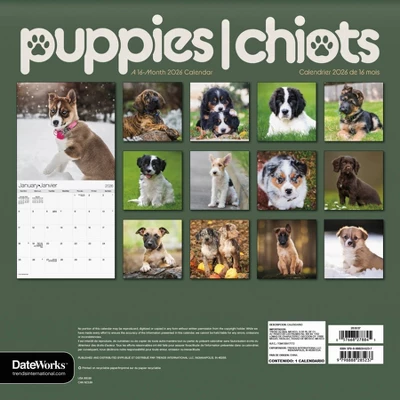 Trends International 2026 Puppies Bilingual French 12"x12" Wall Calendar 5 Trends International 2026 Puppies Bilingual French 12"x12" Wall Calendar - Image 3