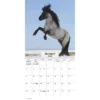 Trends International 2026 Horses 12"x12" Wall Calendar -Everyday Fan & Home GUEST 7cca98ed e87b 4322 9912 c37b1e60c5e9