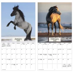 Trends International 2026 Horses 12"x12" Wall Calendar -Everyday Fan & Home GUEST 80b307e2 7dba 4ecf 80d7 55127c9efced