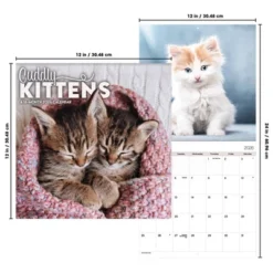 Trends International 2026 Cuddly Kittens 12"x12" Wall Calendar -Everyday Fan & Home GUEST 871f36d4 7e10 4cef bf0a ebba0e602fcb