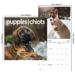 Trends International 2026 Puppies Bilingual French 12"x12" Wall Calendar 14 Trends International 2026 Puppies Bilingual French 12"x12" Wall Calendar -Everyday Fan & Home GUEST 8969cadb 27c7 4400 b128 cd98b11171a1