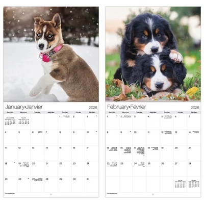 Trends International 2026 Puppies Bilingual French 12"x12" Wall Calendar 7 Trends International 2026 Puppies Bilingual French 12"x12" Wall Calendar - Image 5