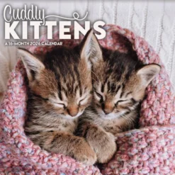 Trends International 2026 Cuddly Kittens 12"x12" Wall Calendar -Everyday Fan & Home GUEST a7c9d428 bdf2 476e 8c93 cb90f9447287