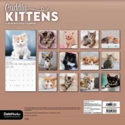 Trends International 2026 Cuddly Kittens 12"x12" Wall Calendar -Everyday Fan & Home GUEST bac4b68e 040c 47ef 9196 57535473c6cb