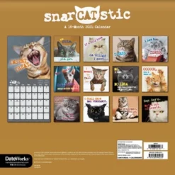 Trends International Inc. 2023-24 Wall Calendar 12"x12" Snarcatstic -Everyday Fan & Home GUEST bff27d77 aa08 4eba bb49 6bb37f3e0b67