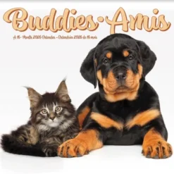 Trends International 2026 Buddies Bilingual French 12"x12" Wall Calendar -Everyday Fan & Home GUEST c16e1db1 8264 48c9 8bdd 4db44dfffcfb