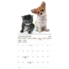 Trends International 2026 Buddies Bilingual French 12"x12" Wall Calendar 2 Trends International 2026 Buddies Bilingual French 12"x12" Wall Calendar -Everyday Fan & Home GUEST cae952a0 9c7f 4978 9e72 93a5ff96167a