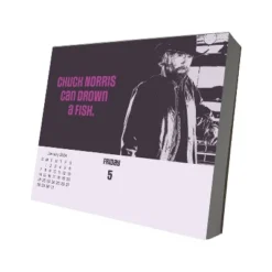 Trends International Inc. 2024 Daily Desk Calendar 4.25"x5" Chuck Norris
