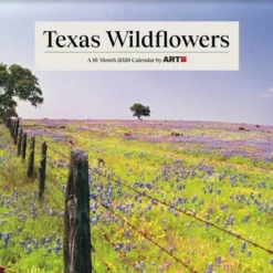 Trends International 2026 Texas Wildflowers 12"x12" Wall Calendar 13 Trends International 2026 Texas Wildflowers 12"x12" Wall Calendar -Everyday Fan & Home GUEST d0c28670 2222 4fb3 821f 956cd6705cbd