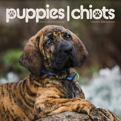 Trends International 2026 Puppies Bilingual French 12"x12" Wall Calendar 9 Trends International 2026 Puppies Bilingual French 12"x12" Wall Calendar - Image 7