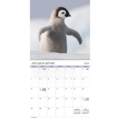 Trends International Inc. 2023-24 Wall Calendar 12"x12" Animal Babies Bilingual English/French