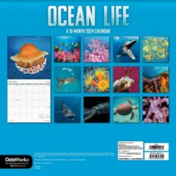 Trends International Inc. 2023-24 Wall Calendar 12"x12" Ocean Life -Everyday Fan & Home GUEST d7a6a17a 2985 452e 9af5 a4607651cc12