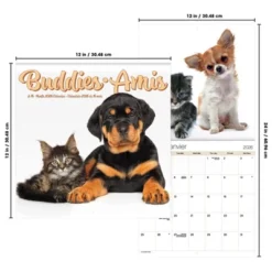 Trends International 2026 Buddies Bilingual French 12"x12" Wall Calendar -Everyday Fan & Home GUEST efa0b935 96e1 4da0 a36d 8879d59da78a