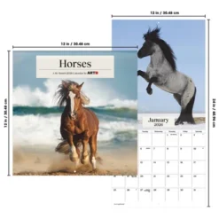 Trends International 2026 Horses 12"x12" Wall Calendar -Everyday Fan & Home GUEST f0175a26 c502 4e66 9de1 d04714b0acca