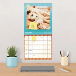 Trends International 2026 Guilty Dog 12"x12" Wall Calendar -Everyday Fan & Home GUEST f0eeeb93 996a 4647 a581 9f2f968d905c